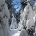 IMG_2156 IMG_2156