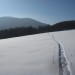 IMG_0035 IMG_0035