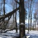 IMG_0167 IMG_0167
