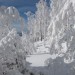 IMG_0688 IMG_0688
