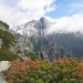 IMG_1302 IMG_1302