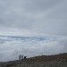 IMG_1437 IMG_1437