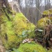 IMG_0010 IMG_0010